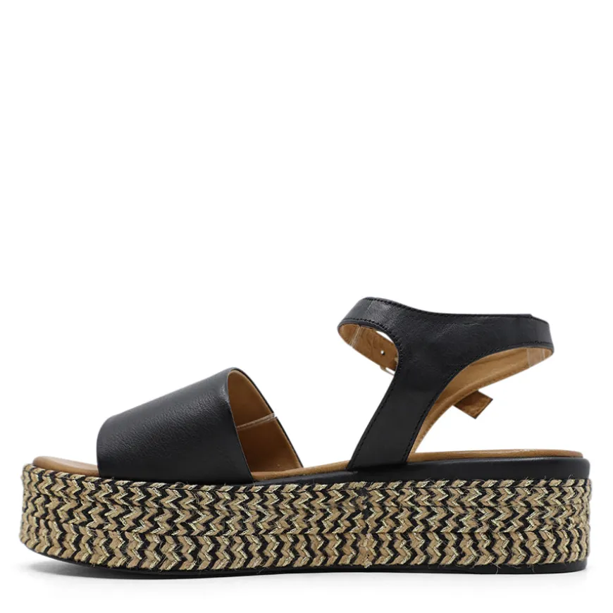 LUNA SOLE FLORIDA_LS